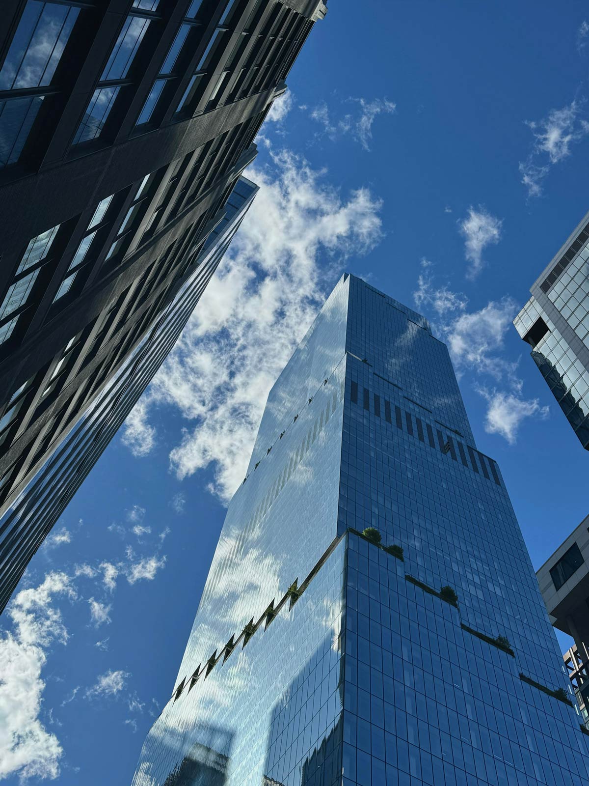 Afalon investment management rahastot.